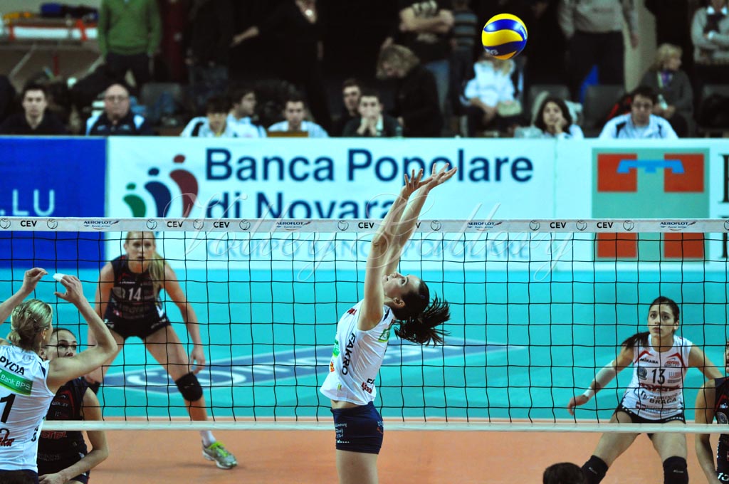 Asystel NO Muszynianka (33)